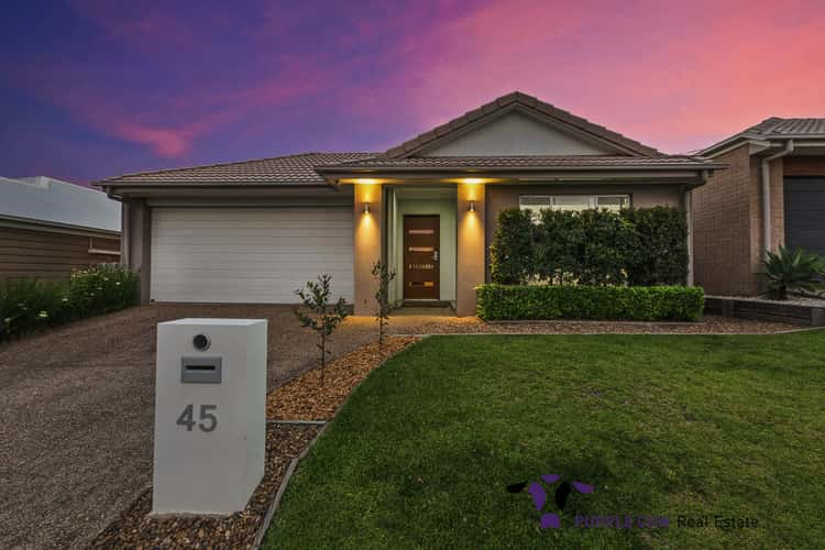 Main view of Homely house listing, 45 Lindeman St, Springfield Lakes QLD 4300