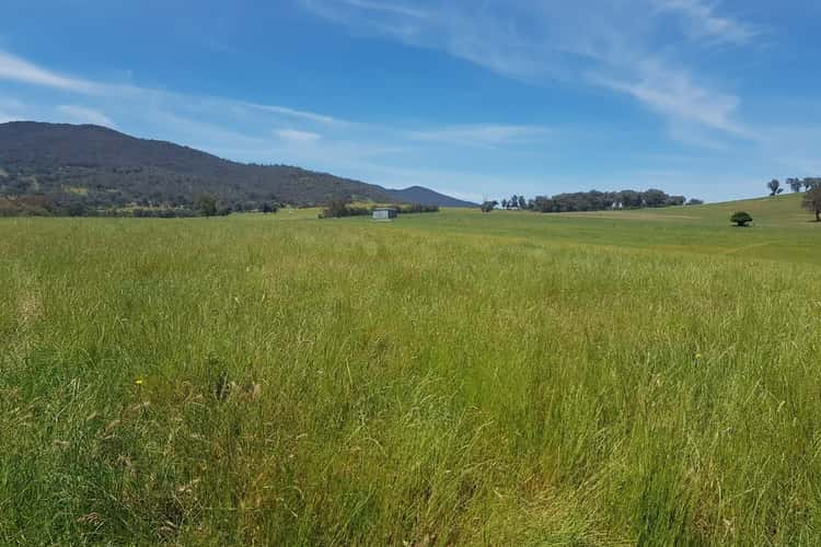 Main view of Homely livestock listing, . Meehans Lane, Osbornes Flat VIC 3691