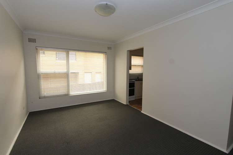 Third view of Homely unit listing, 2/66 Ferguson Avenue, Wiley Park NSW 2195