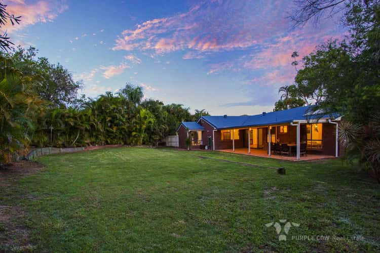 Main view of Homely house listing, 16 Acacia Pl, Camira QLD 4300