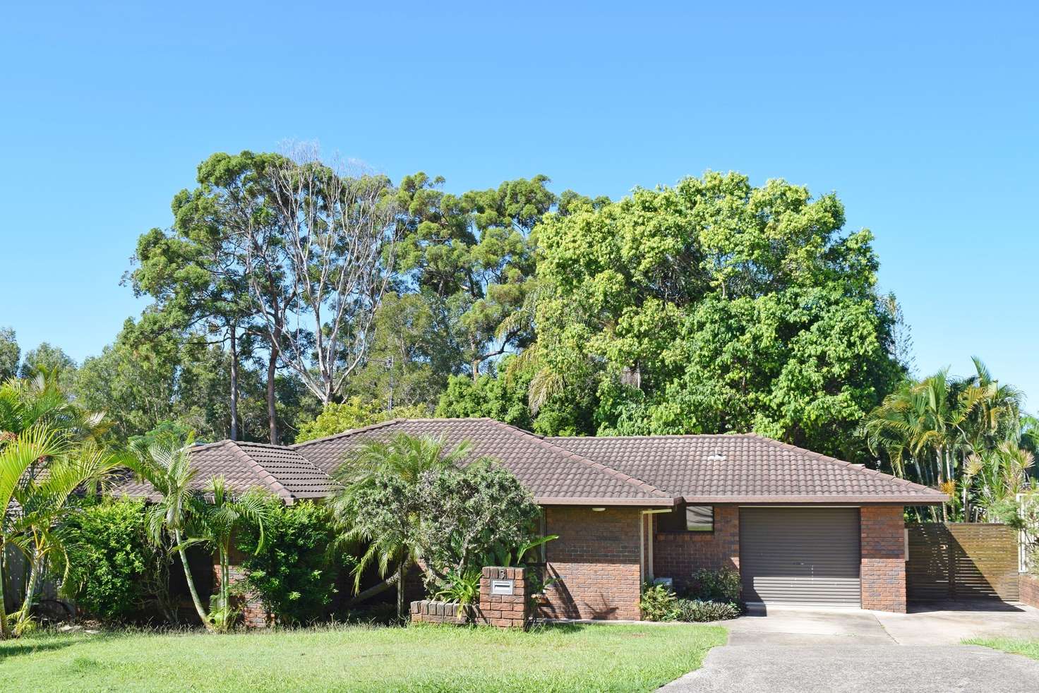 Main view of Homely house listing, 3 Brushwood Ct, Buderim QLD 4556