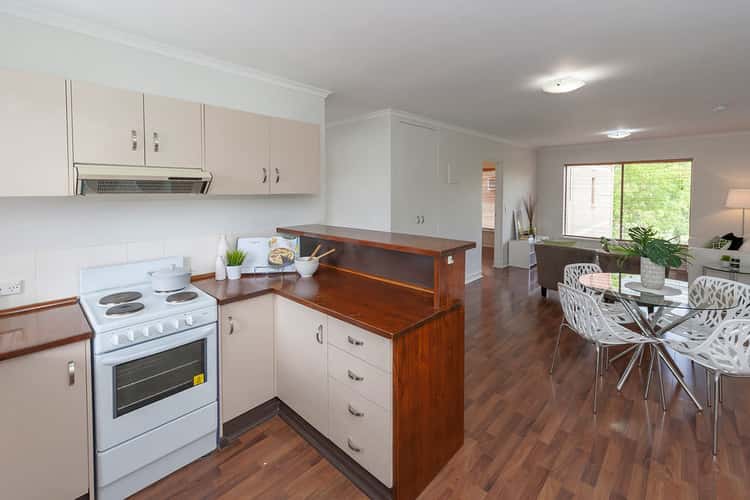 Main view of Homely unit listing, 9/274 South Tce, Adelaide SA 5000