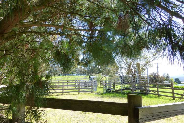 Second view of Homely acreageSemiRural listing, 919 Moe Rawson Road, Tanjil South VIC 3825