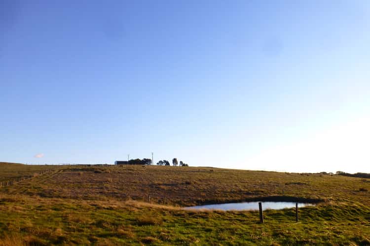 Fifth view of Homely acreageSemiRural listing, 919 Moe Rawson Road, Tanjil South VIC 3825