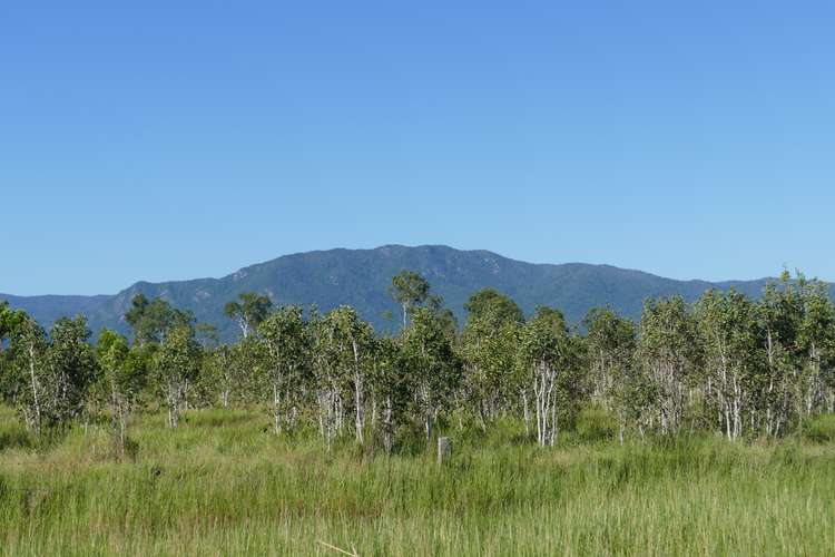 Third view of Homely lifestyle listing, Lot 4 Hamilton Road, Carruchan QLD 4816