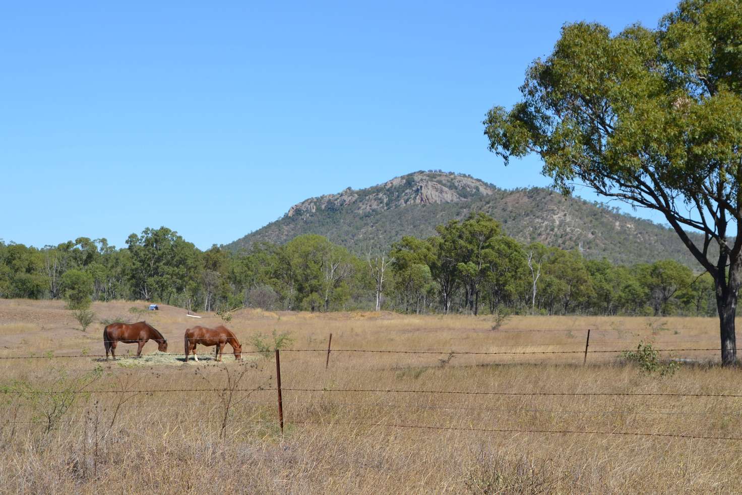 Main view of Homely acreageSemiRural listing, 829 Lion Mountain Rd, Alton Downs QLD 4702