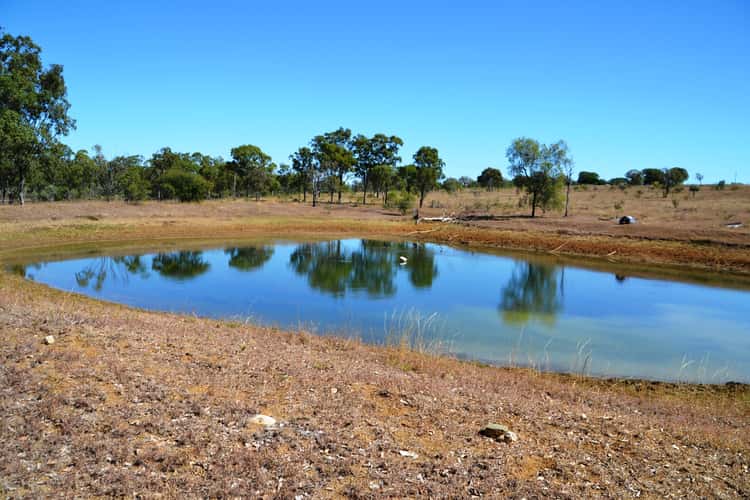 Third view of Homely acreageSemiRural listing, 829 Lion Mountain Rd, Alton Downs QLD 4702