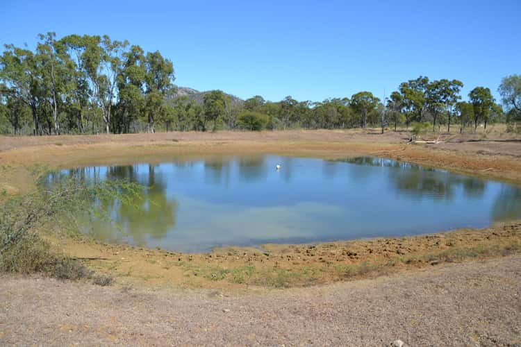 Fourth view of Homely acreageSemiRural listing, 829 Lion Mountain Rd, Alton Downs QLD 4702