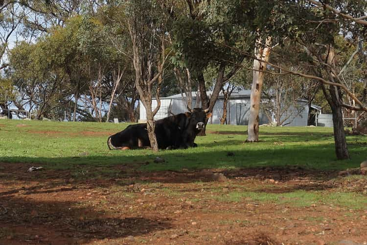 Main view of Homely residentialLand listing, 104 Eighth Road, Toodyay WA 6566