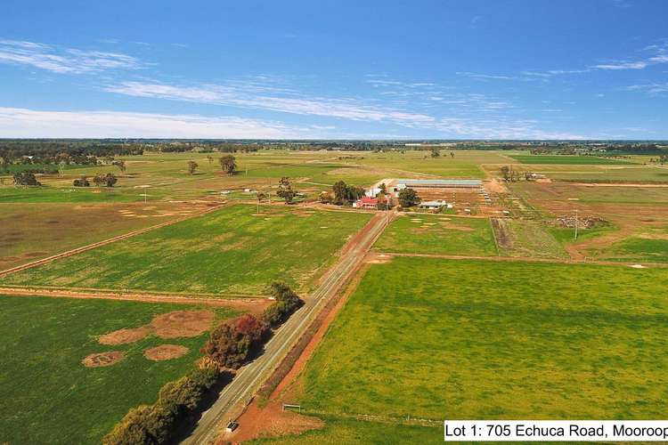 Fifth view of Homely dairy listing, 705 Echuca Rd, Ardmona VIC 3629
