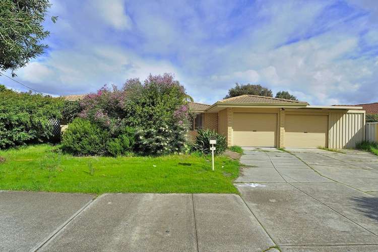 Main view of Homely house listing, 91 Amazon Dr, Beechboro WA 6063