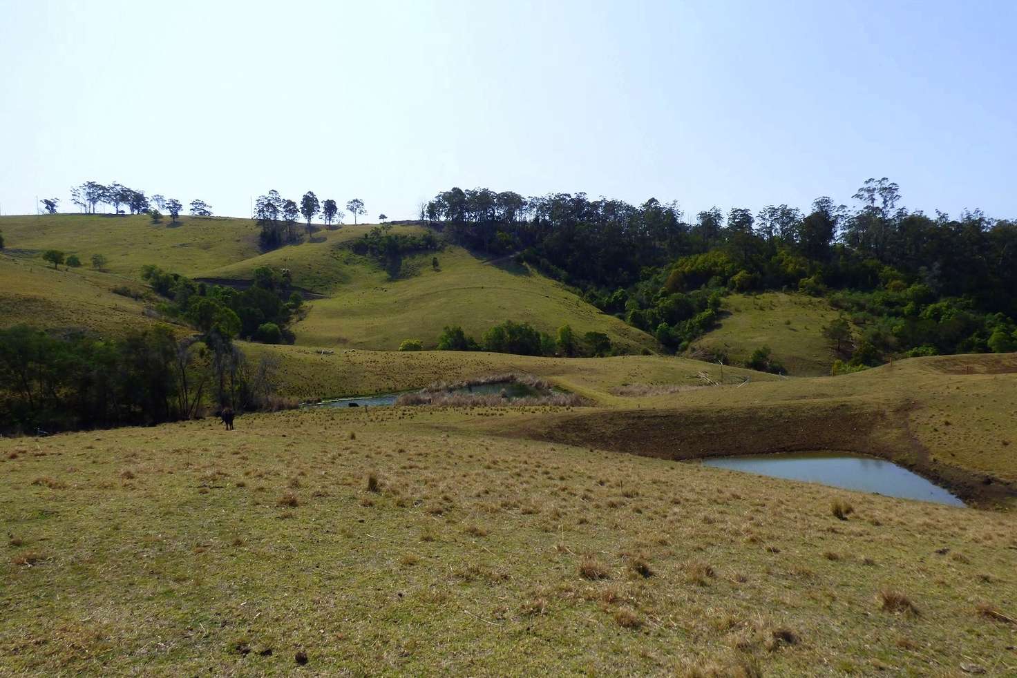 Main view of Homely lifestyle listing, Proposed Lot A Woodlands Lane, Bald Hills NSW 2549