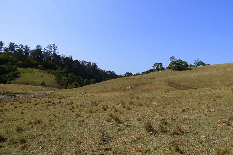 Second view of Homely lifestyle listing, Proposed Lot A Woodlands Lane, Bald Hills NSW 2549
