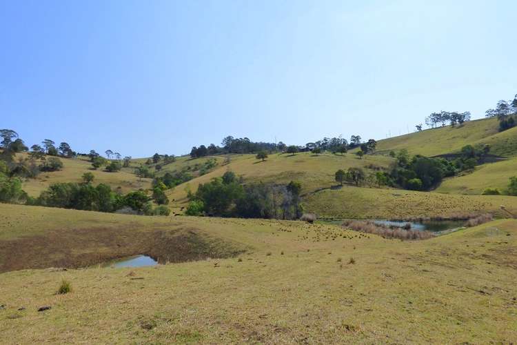 Third view of Homely lifestyle listing, Proposed Lot A Woodlands Lane, Bald Hills NSW 2549