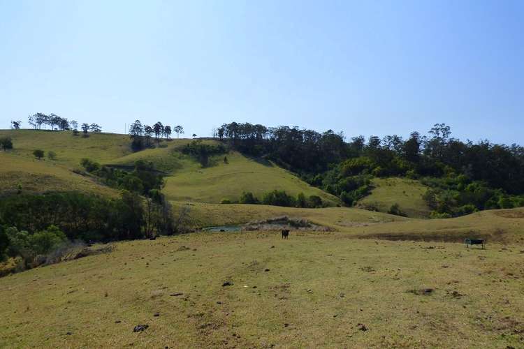Sixth view of Homely lifestyle listing, Proposed Lot A Woodlands Lane, Bald Hills NSW 2549
