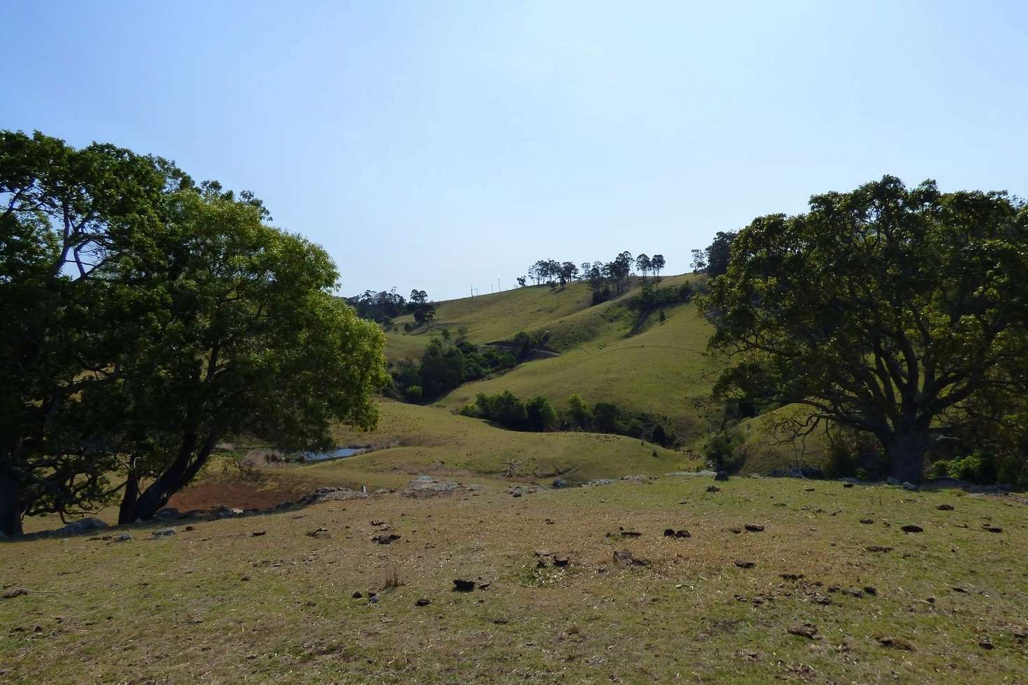 Main view of Homely lifestyle listing, Proposed Lot B Woodlands Lane, Bald Hills NSW 2549