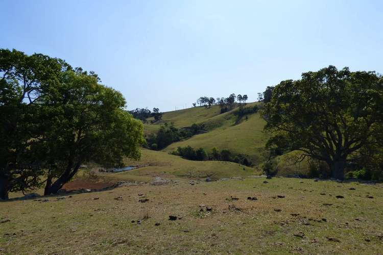 Proposed Lot B Woodlands Lane, Bald Hills NSW 2549