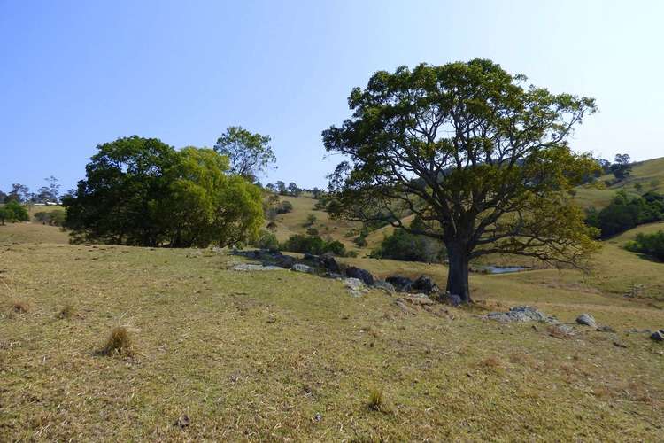 Fifth view of Homely lifestyle listing, Proposed Lot B Woodlands Lane, Bald Hills NSW 2549