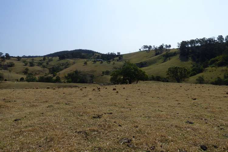 Seventh view of Homely lifestyle listing, Proposed Lot B Woodlands Lane, Bald Hills NSW 2549