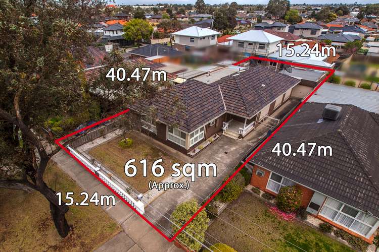 41 Sydney Street, Avondale Heights VIC 3034