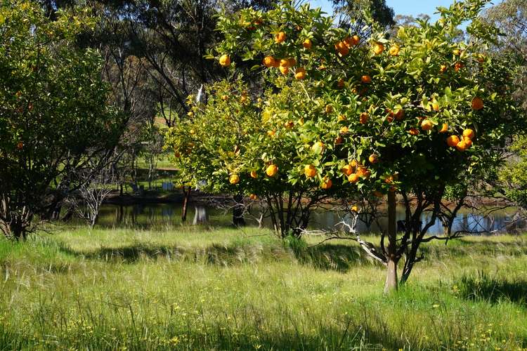 Third view of Homely house listing, 29 Timber Creek Cres, Coondle WA 6566