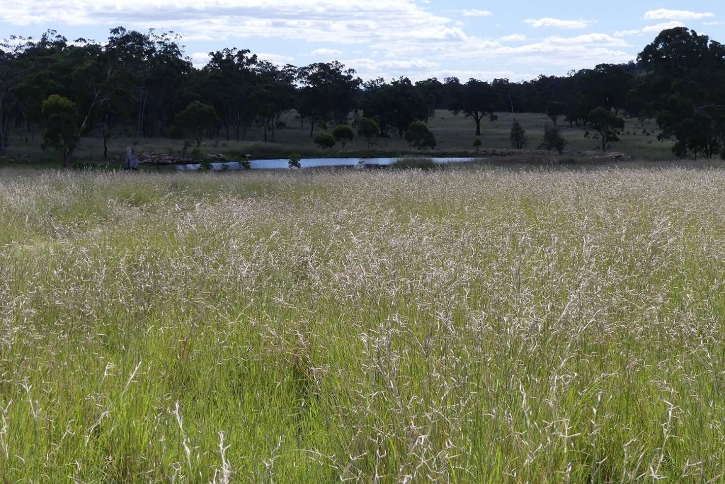 Main view of Homely residentialLand listing, Lots 10 &amp; 12 Saxby Road, Ballandean QLD 4382