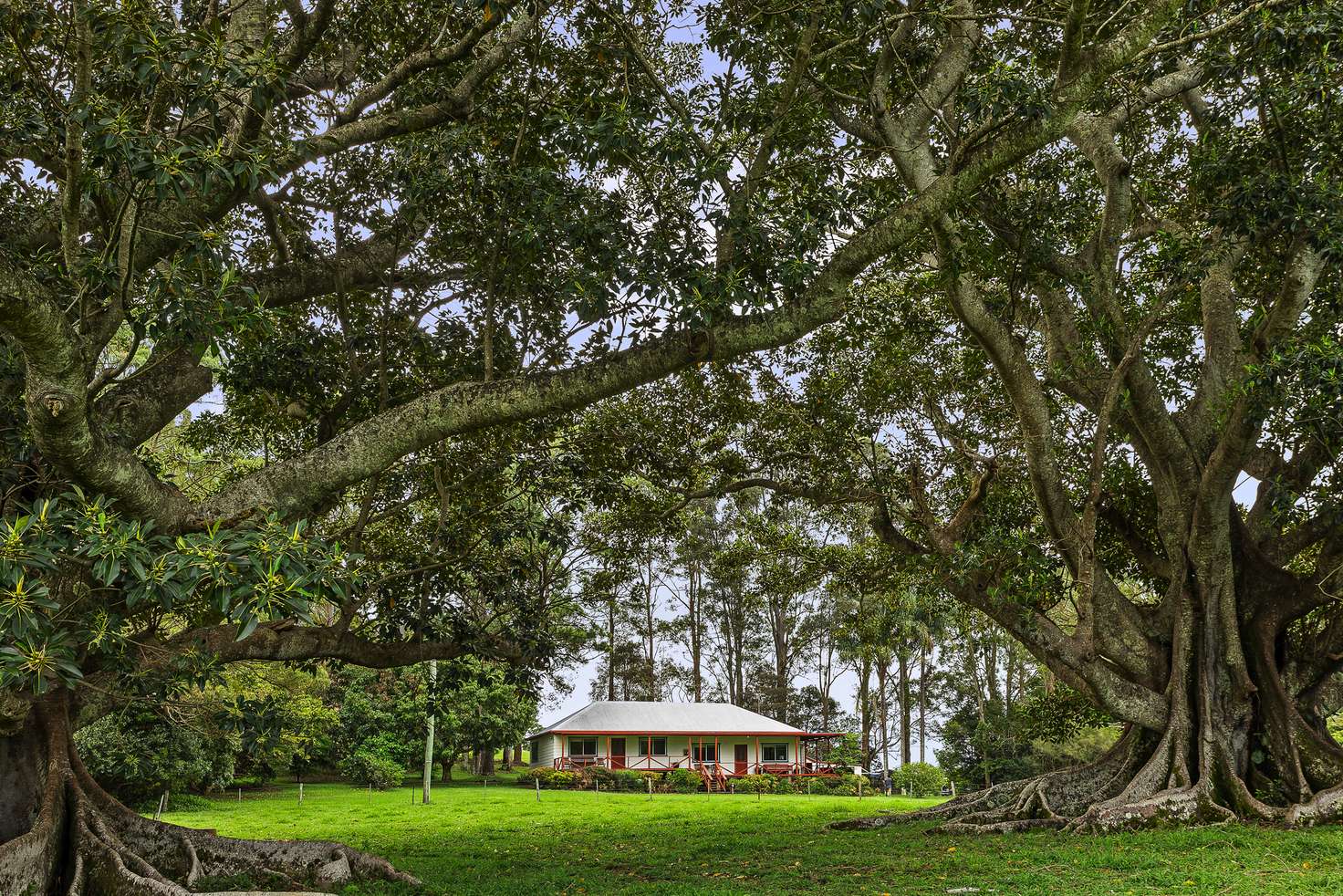 Main view of Homely house listing, 80 Emigrant Crossing, Brooklet NSW 2479