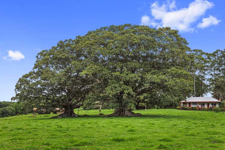 Second view of Homely house listing, 80 Emigrant Crossing, Brooklet NSW 2479