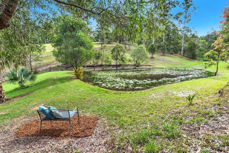 Main view of Homely acreageSemiRural listing, 492 Clagiraba Rd, Clagiraba QLD 4211