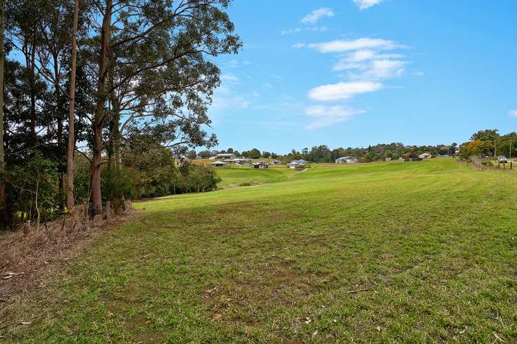 Seventh view of Homely residentialLand listing, Lot 125 Newland Street, Yungaburra QLD 4884