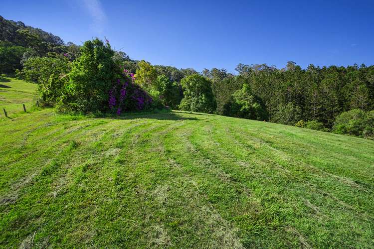 Second view of Homely residentialLand listing, LOT 10  127 Macdonald Rd, Palmwoods QLD 4555