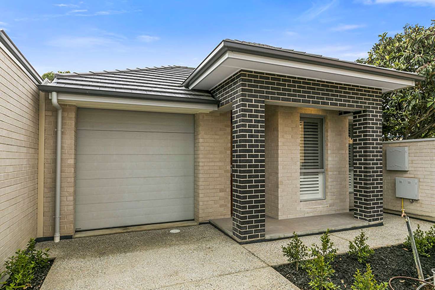 Main view of Homely house listing, 37A Mortimer Street, Kurralta Park SA 5037