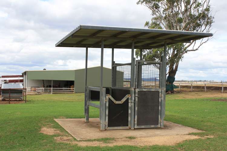 Sixth view of Homely mixedFarming listing, 34 Waglands Rd, Allora QLD 4362