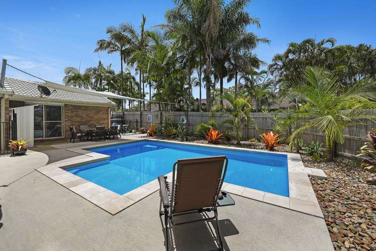 Third view of Homely house listing, 23 Candlewood Cl, Mooloolaba QLD 4557