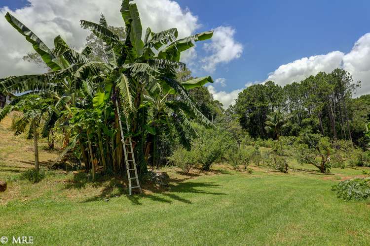 Third view of Homely residentialLand listing, 52 Main Street, Montville QLD 4560