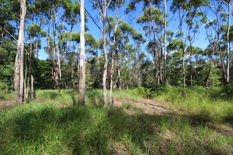 Seventh view of Homely residentialLand listing, Lot 444 Amy Lee Close, Barrine QLD 4872