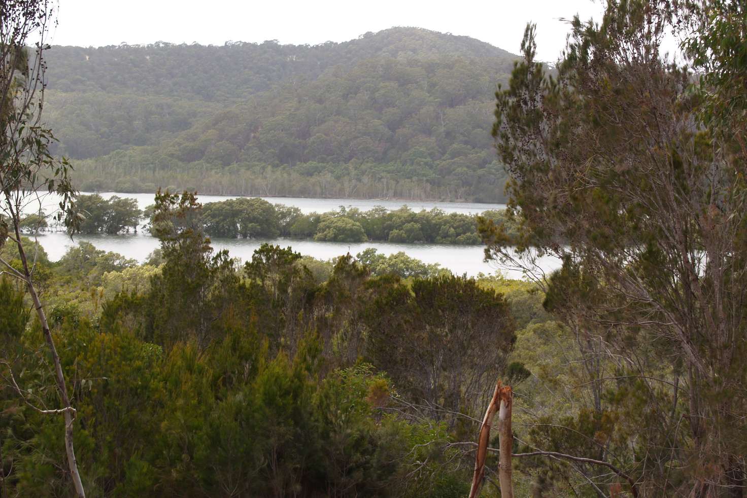 Main view of Homely residentialLand listing, 12 Naples Dr, Russell Island QLD 4184