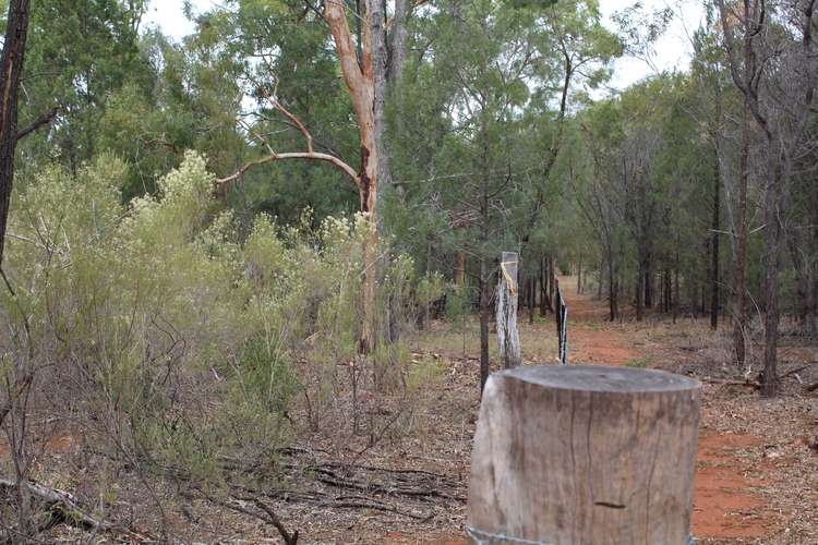 Sixth view of Homely lifestyle listing, LOT 25 Wirraway Ave, Leyburn QLD 4365