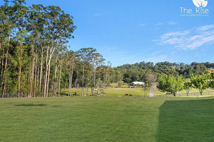 Main view of Homely residentialLand listing, 105 Rifle Range Rd, Palmwoods QLD 4555