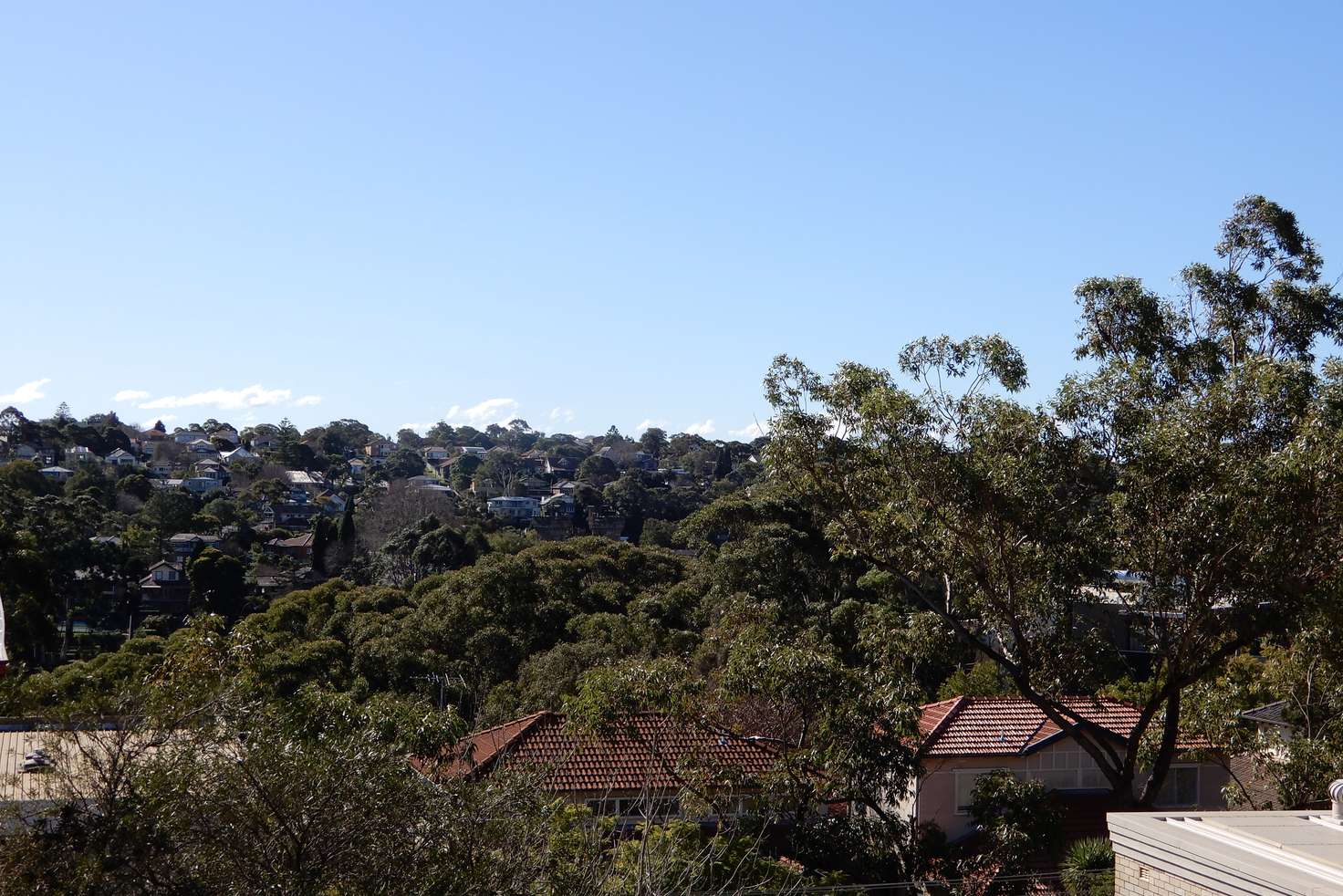 Main view of Homely unit listing, 6/49 Abbott Street, Cammeray NSW 2062