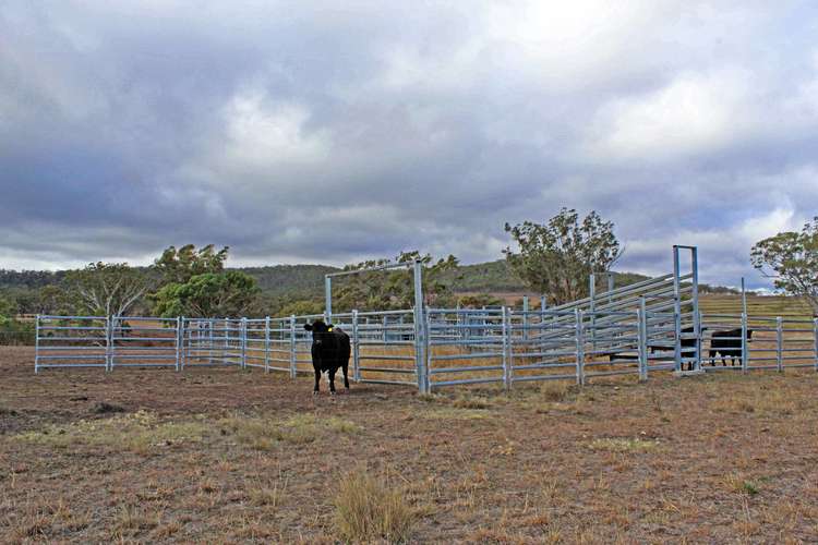 Main view of Homely livestock listing, Lot 7 Holzwarts Rd, Berat QLD 4362