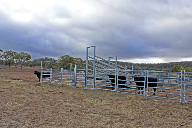 Second view of Homely livestock listing, Lot 7 Holzwarts Rd, Berat QLD 4362