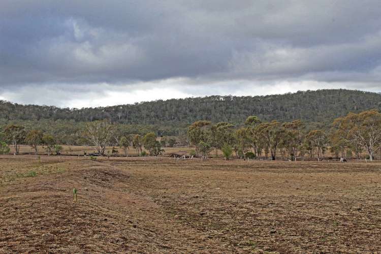 Fifth view of Homely livestock listing, Lot 7 Holzwarts Rd, Berat QLD 4362