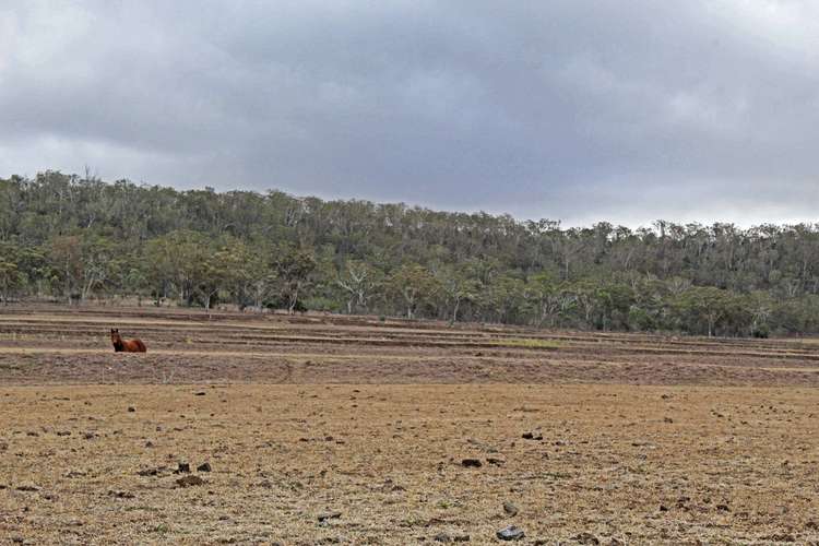 Sixth view of Homely livestock listing, Lot 7 Holzwarts Rd, Berat QLD 4362