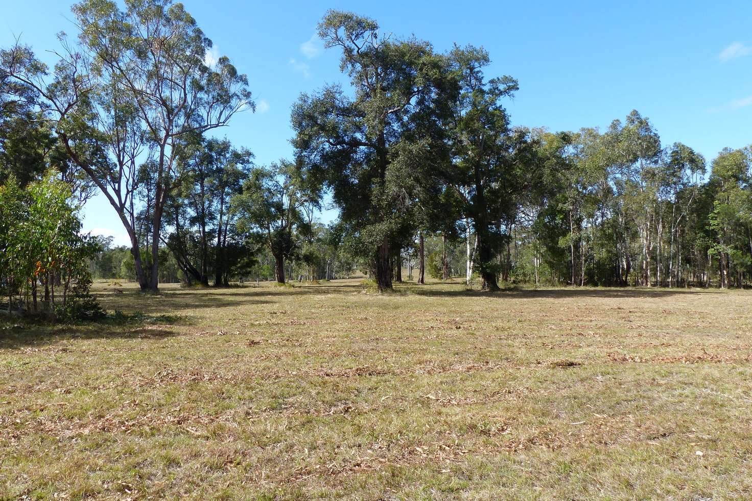 Main view of Homely residentialLand listing, Lot 17 Cream Box Ct, Ringtail Creek QLD 4565