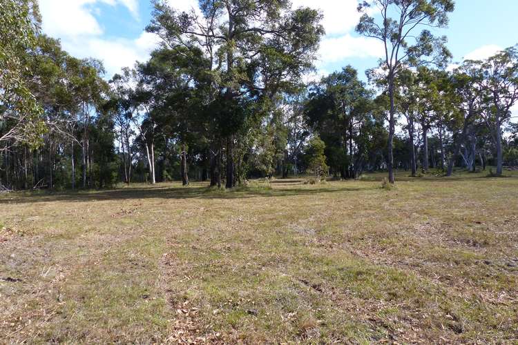 Sixth view of Homely residentialLand listing, Lot 17 Cream Box Ct, Ringtail Creek QLD 4565