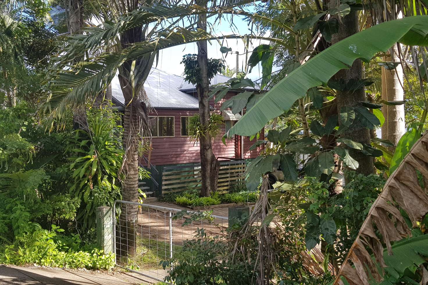 Main view of Homely house listing, 14 Washington St, Nambour QLD 4560