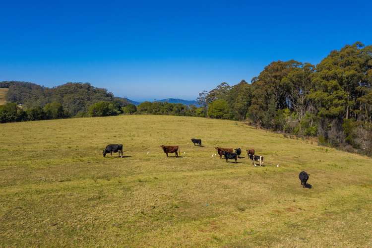 Fifth view of Homely residentialLand listing, Lot 3 Mount Gibraltar Road, Comboyne NSW 2429