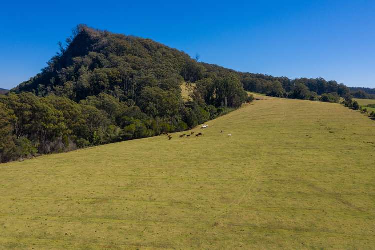 Sixth view of Homely residentialLand listing, Lot 3 Mount Gibraltar Road, Comboyne NSW 2429