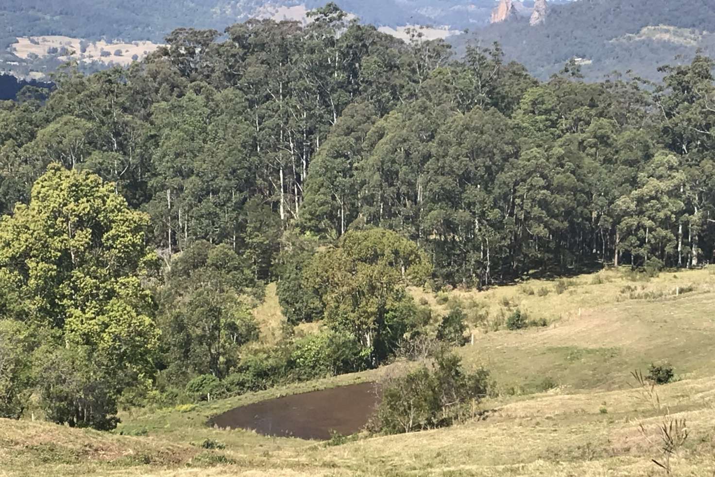 Main view of Homely lifestyle listing, 140 Stangers Road, Nimbin NSW 2480